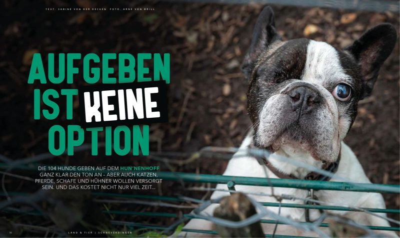 STARK_Ausgabe_2_2023-S29
