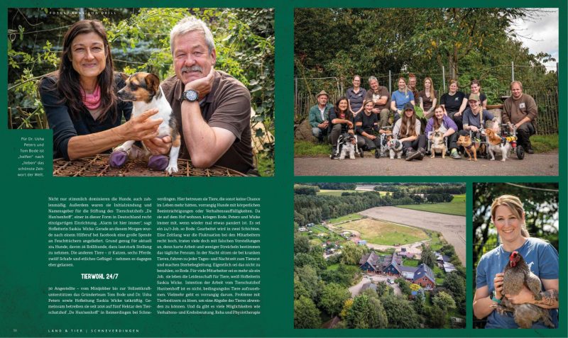 STARK_Ausgabe_2_2023-S30