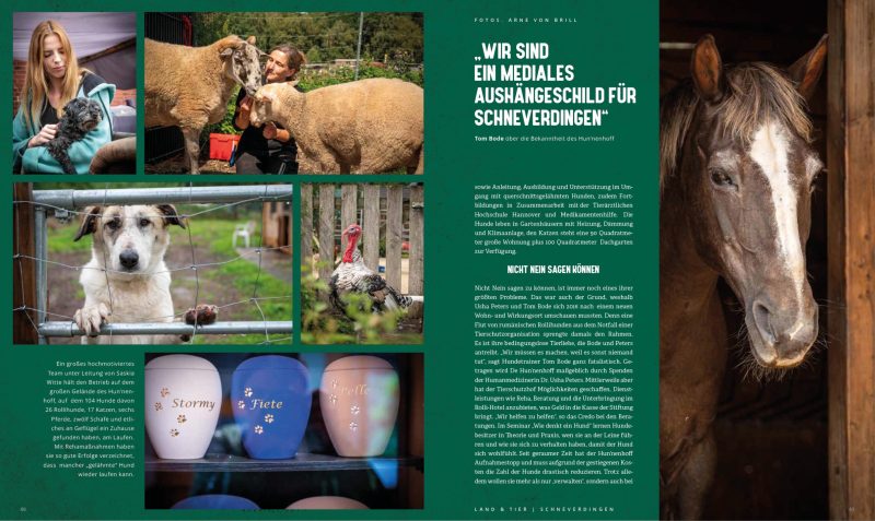 STARK_Ausgabe_2_2023-S31