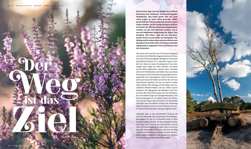 STARK_Ausgabe_2_2023-S39