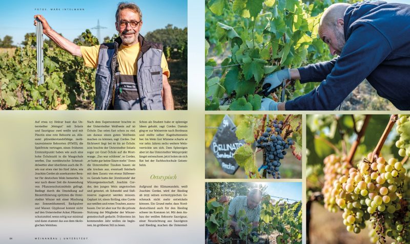 STARK_Ausgabe_2_2022_33