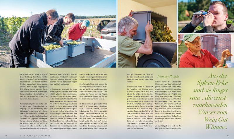 STARK_Ausgabe_2_2022_34